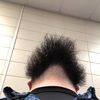 blumley86